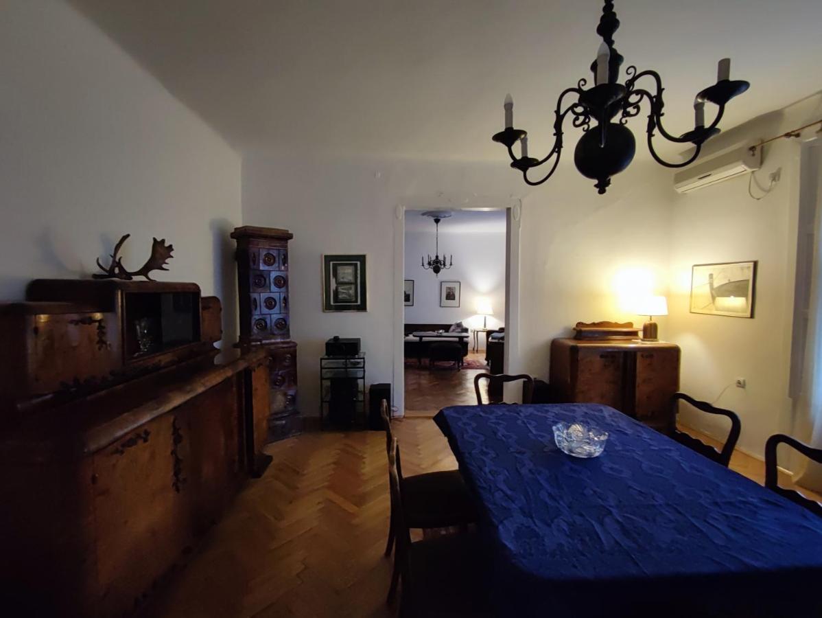 Vintage Apartment In The Center Of โนวีซาด ภายนอก รูปภาพ