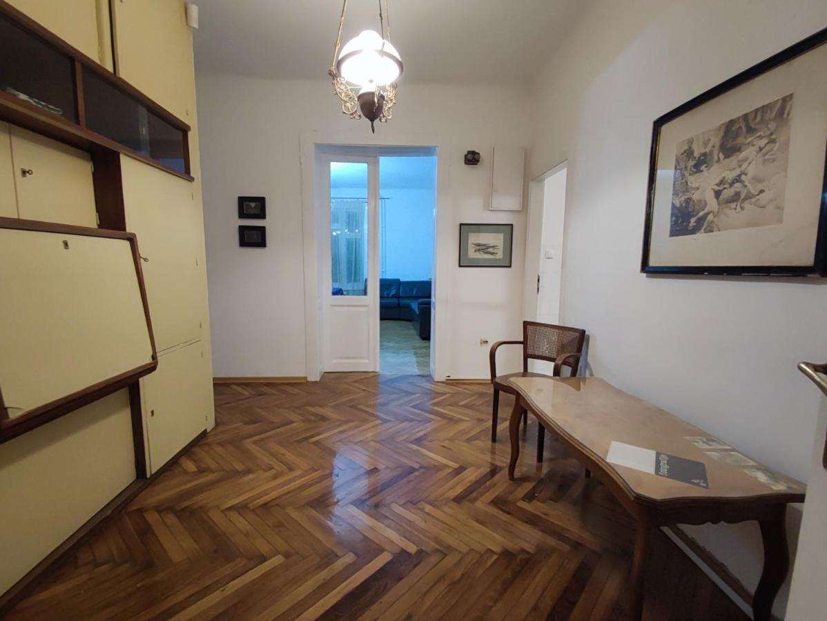 Vintage Apartment In The Center Of โนวีซาด ภายนอก รูปภาพ