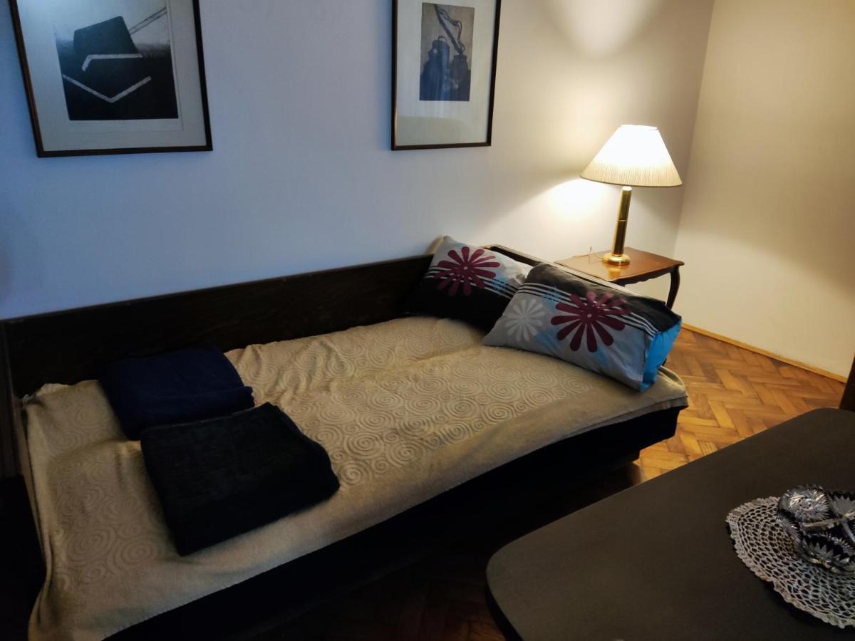 Vintage Apartment In The Center Of โนวีซาด ภายนอก รูปภาพ