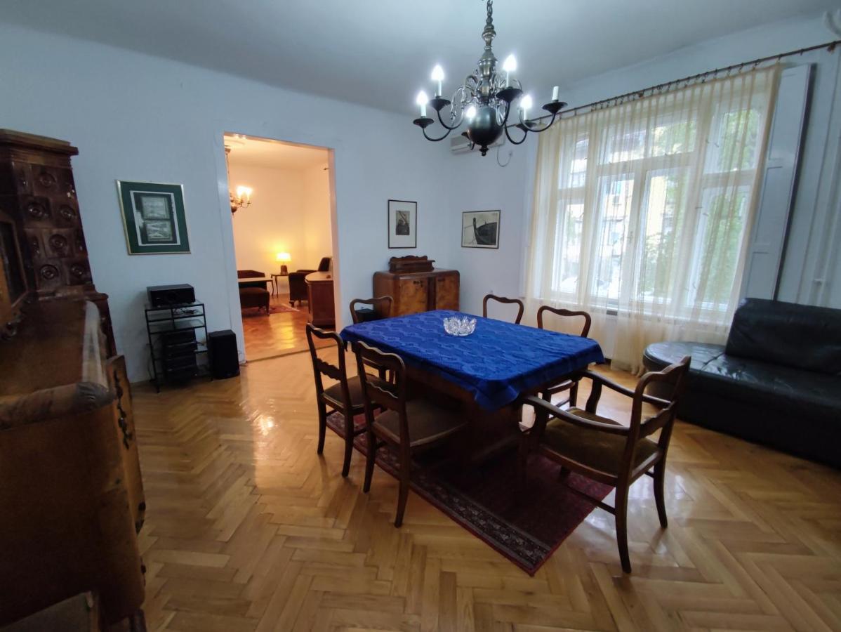 Vintage Apartment In The Center Of โนวีซาด ภายนอก รูปภาพ