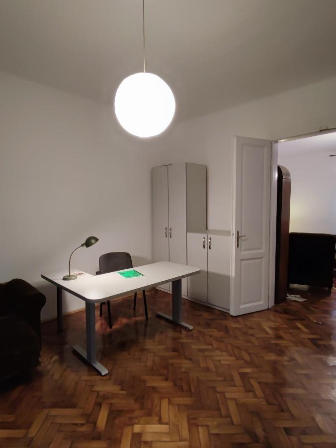 Vintage Apartment In The Center Of โนวีซาด ภายนอก รูปภาพ